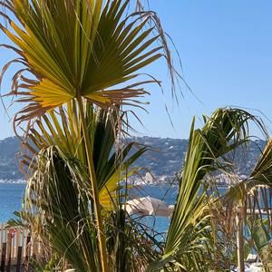 Meet your Posher, Franceska